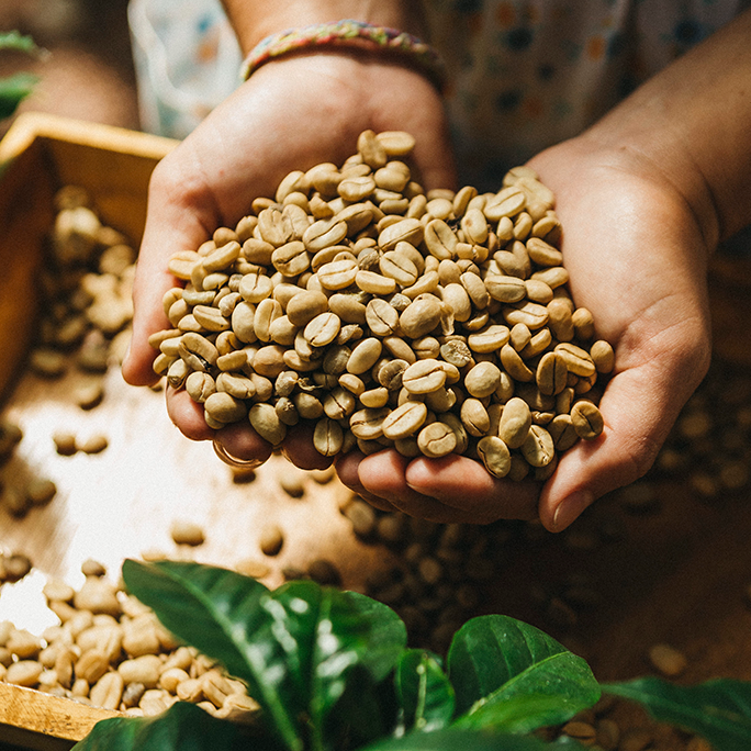 Post-harvest sorting of raw coffee beans